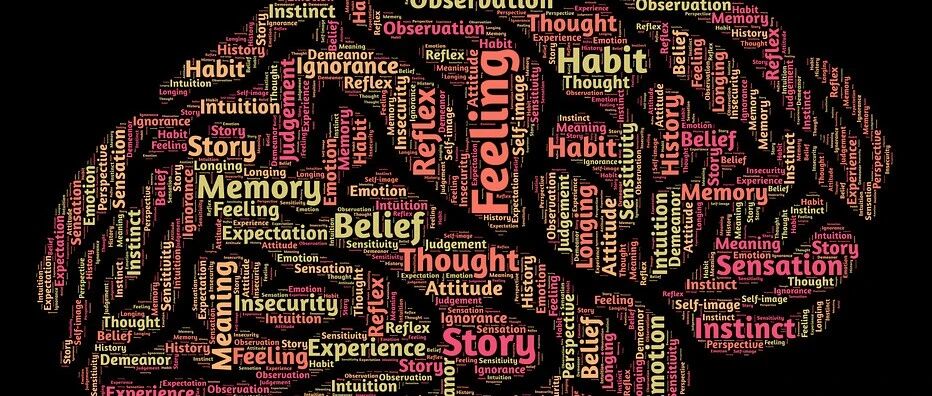 在“你吃什么，就是什么”思想浪潮下的理性思考：饮食真的能预防炎症性疾病吗？ | 文献述评