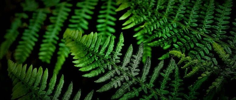 新冠病毒感染误诊为克罗恩病活动一例 | 经典病例