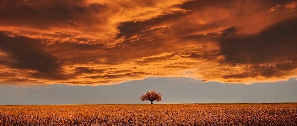 两图一表：轻松掌握消化道出血管理第一步！| 2020 多学科专家共识