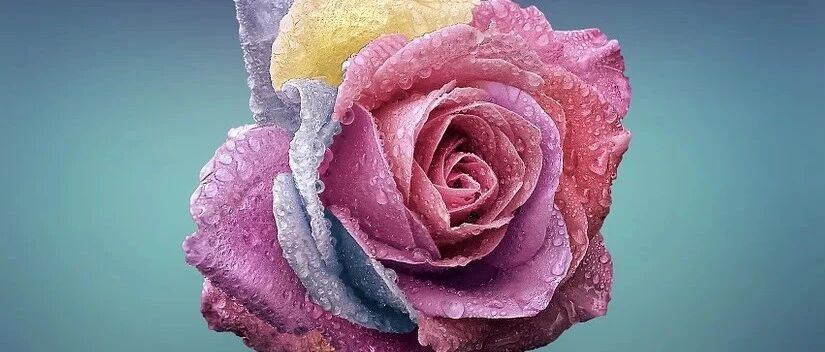 AGA最新指南：缺铁性贫血的胃肠道评估，7条建议一文收入囊中