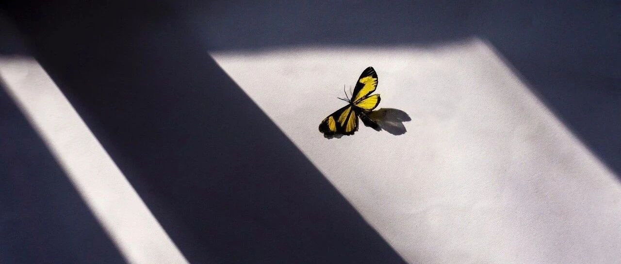 《急性胆道系统感染的诊断和治疗指南（2021版）》发布！