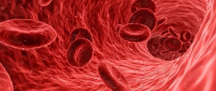 缺铁性贫血的胃肠道评估，AGA指南7条建议一览 | 指南共识