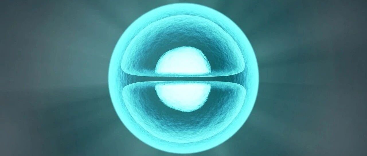 诊断注意：结肠扭转在未成年人中也可发生！ | 病例学习