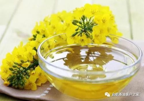 常吃菜籽油有什么好处?启航菜籽油的独特卖点!