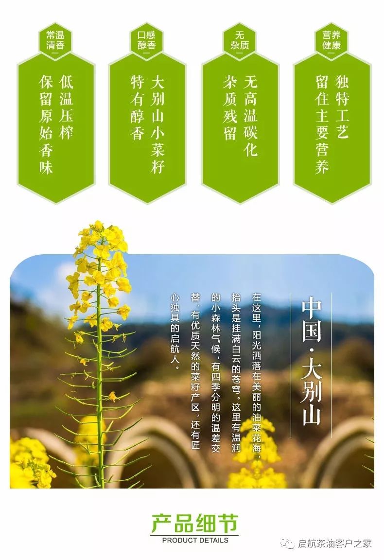 常吃菜籽油有什么好处?启航菜籽油的独特卖点!