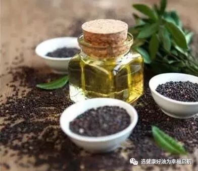 养生：菜籽油的功效与作用