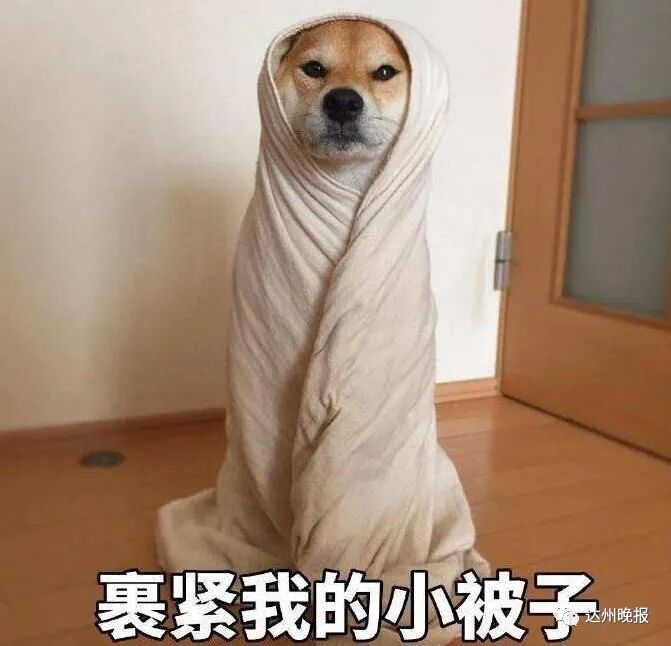 房县天气预报