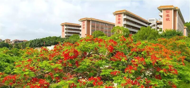 阳江市阳东广雅学校