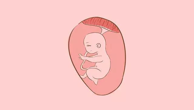 孕足月後胎動就少了 陳慶華大夫 微文庫