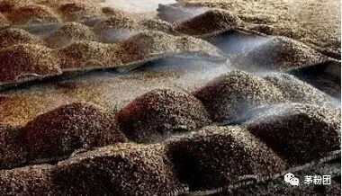 一份白酒秘籍，是收藏首选