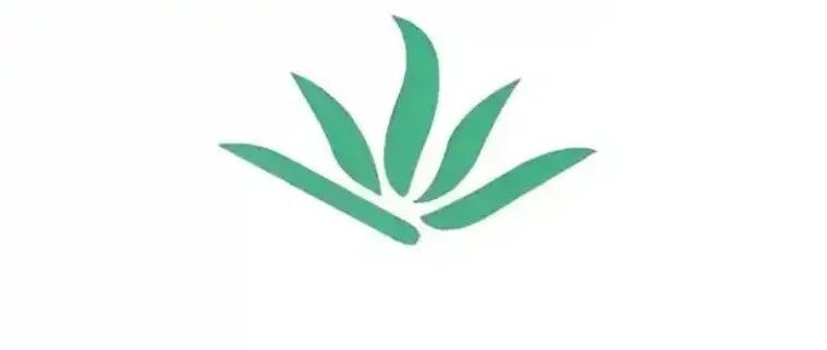 Example Image