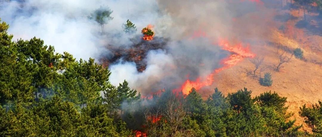 当山火发生时，弘和AI将扑火救灾更智慧
