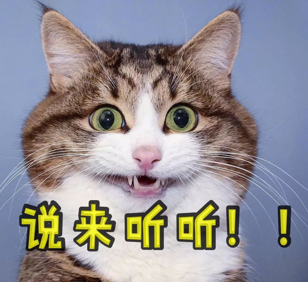 猫薄荷效应 据说它会让你的猫咪感到 幸福 芝猫 微信公众号文章阅读 Wemp