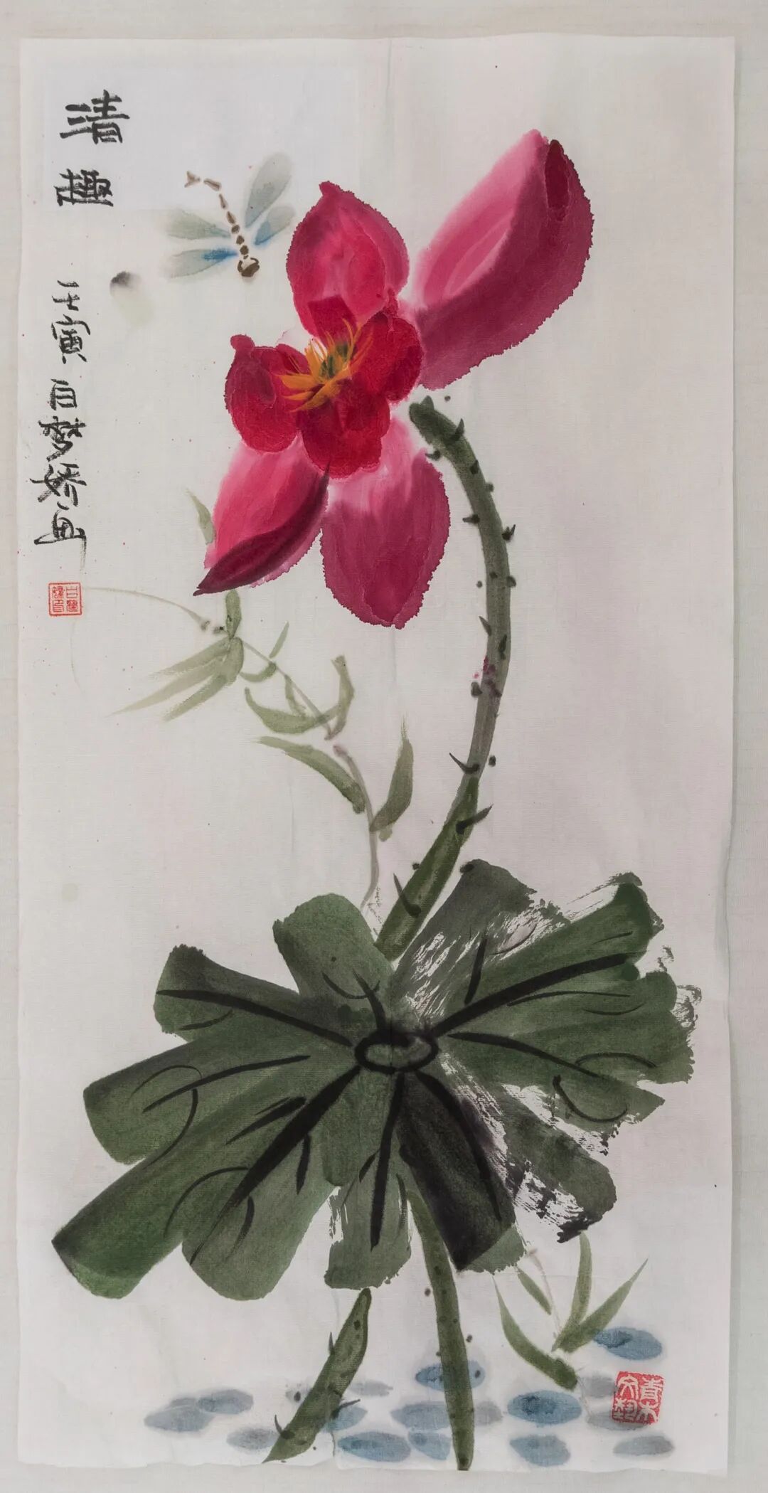 图片