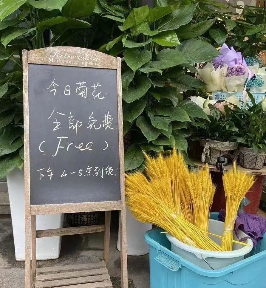 紀念 | 長沙送別袁隆平，全城菊花賣光，的哥免費接送……