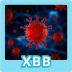 XBB致病力是否增强？会引发新一轮感染高峰吗？