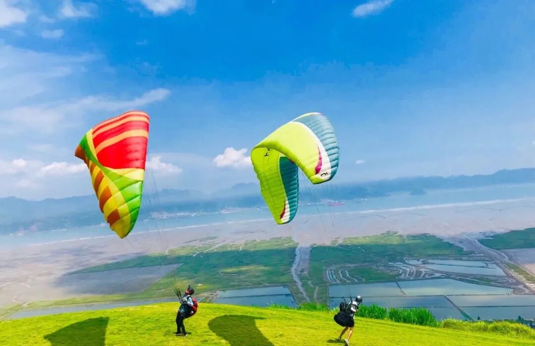 乡村振兴社会实践3000字_乡村振兴3000字论文_乡村振兴20字方针