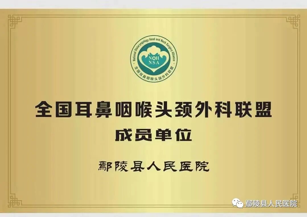 普通喉镜怎么使用使用喉镜的麻醉方法_https://www.jmylbn.com_新闻资讯_第4张