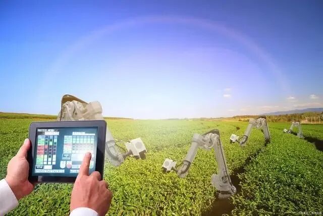 数字乡村建设：形势、特征与重点(图5)