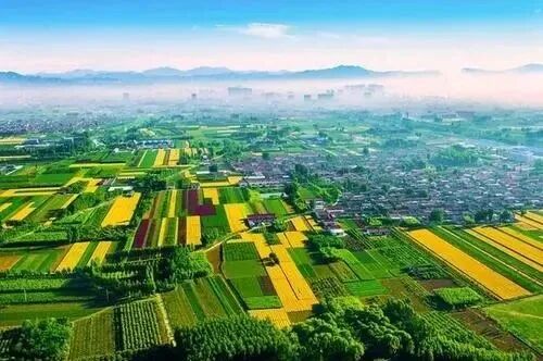 数字乡村建设：形势、特征与重点(图6)