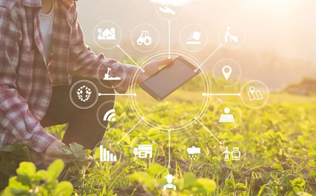 大数据、人工智能改写农业未来，智慧农业前景在何方？