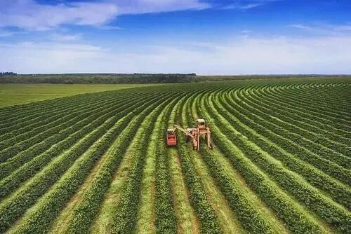 我国智能农机的研究进展与无人农场的实践的图7