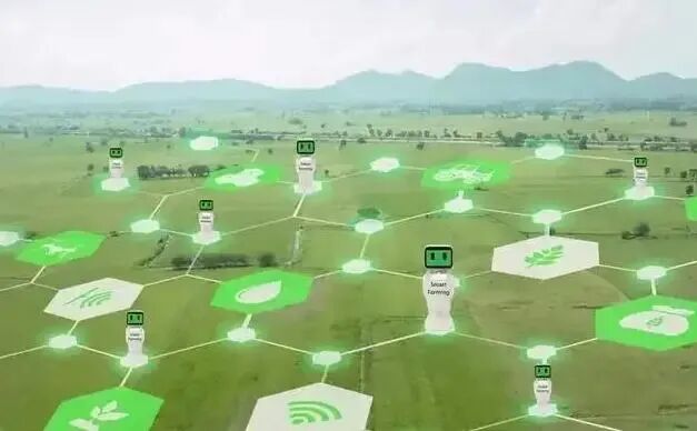 数字乡村建设的进展、挑战与对策(图2)