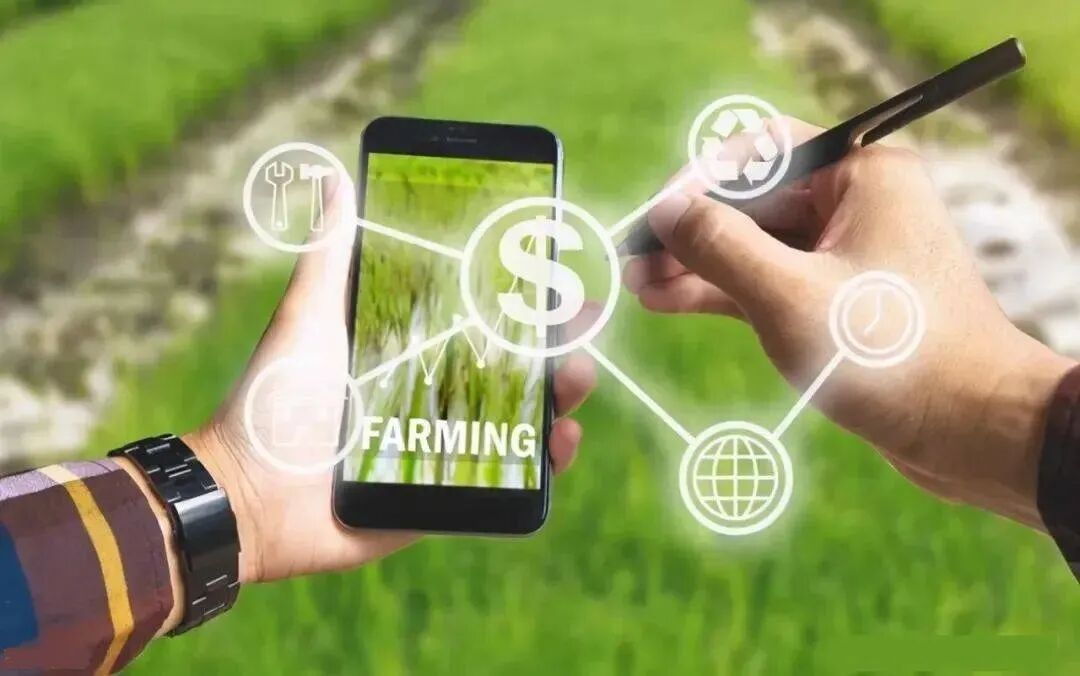 数字乡村建设的进展、挑战与对策(图1)