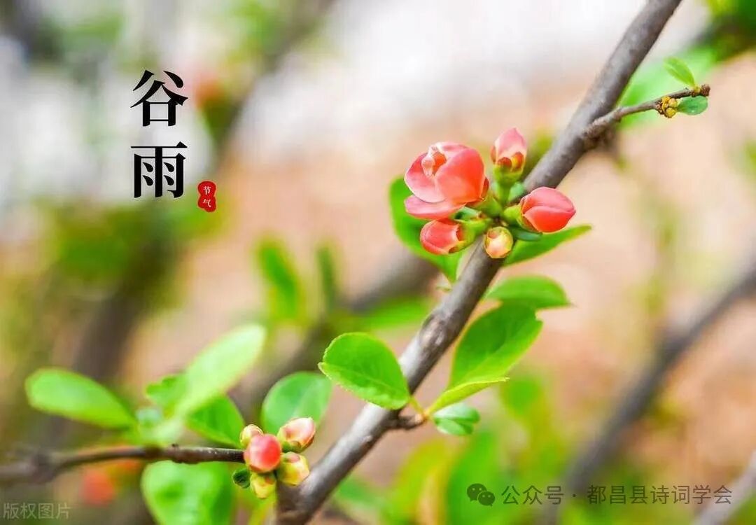 【都昌诗词】第144 期