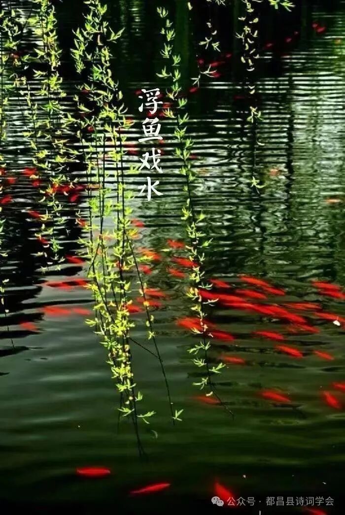 【都昌诗词】第144 期