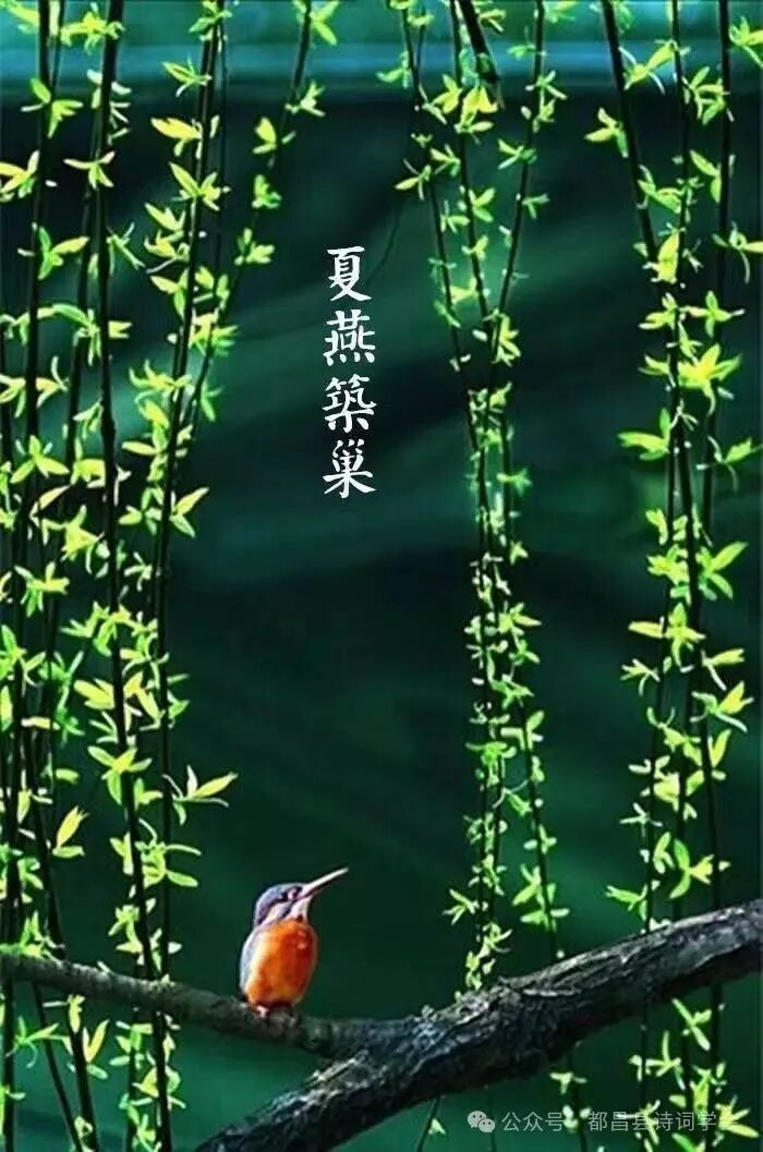 【都昌诗词】第144 期