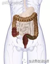 结肠水疗仪怎么用中医---结肠水疗_https://www.jmylbn.com_新闻资讯_第6张