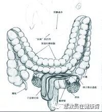 结肠水疗仪怎么用中医---结肠水疗_https://www.jmylbn.com_新闻资讯_第8张