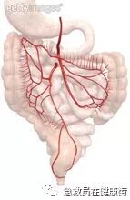 结肠水疗仪怎么用中医---结肠水疗_https://www.jmylbn.com_新闻资讯_第7张