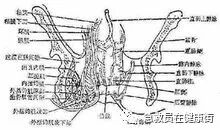 结肠水疗仪怎么用中医---结肠水疗_https://www.jmylbn.com_新闻资讯_第5张