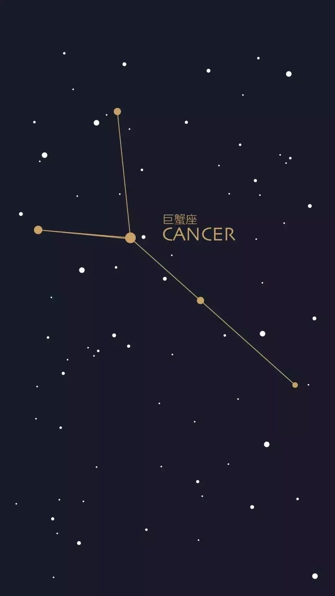 壁纸 抖音十二星座壁纸 富拉尔基 微信公众号文章阅读 Wemp