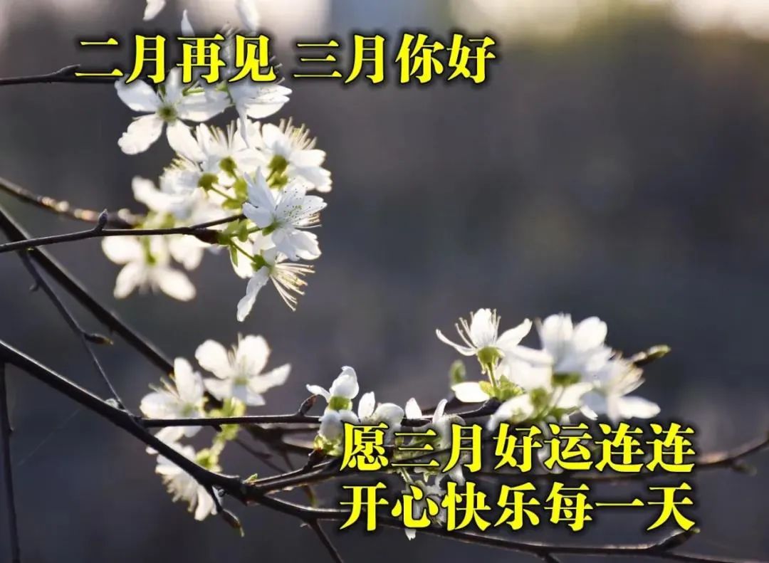 21年3月1日正月十八清晨早上好问候祝福动态表情图片周一最新早安问候祝福图片带字温馨 早上好表情动态 微信公众号文章阅读