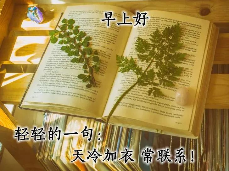 21年1月12日周二清晨早上好问候祝福动态表情图片21年最新早安问候祝福图片带字温馨 早上好表情动态 微信公众号文章阅读 Wemp