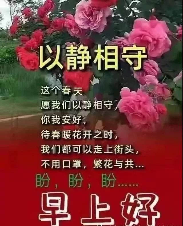 2月16日正月廿三清晨早上好问候祝福动态表情图片春天最新早安问候祝福图片带字温馨 早上好表情动态 微信公众号文章阅读