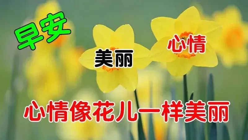 6月9日周二清晨早上好问候祝福动态表情图片6月最新早安问候祝福图片带字温馨 早上好表情动态 微信公众号文章阅读 Wemp