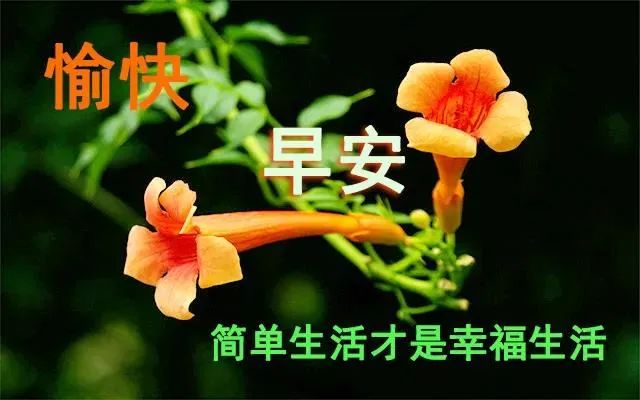 6月24日周三清晨早上好问候祝福动态表情图片6月最新早安问候祝福图片带字温馨 早上好表情动态 微信公众号文章阅读 Wemp