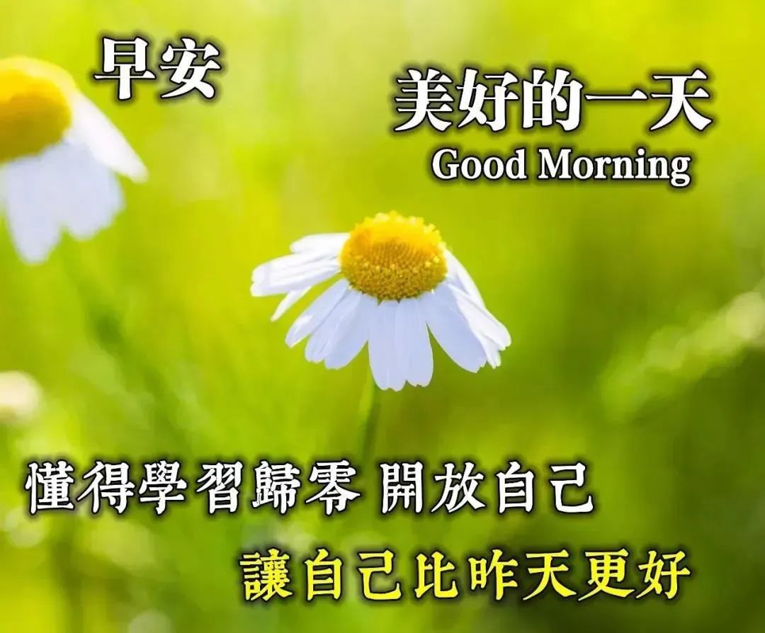 6月15日周一清晨早上好问候祝福动态表情图片6月最新早安问候祝福图片带字温馨 早上好表情动态 微信公众号文章阅读 Wemp