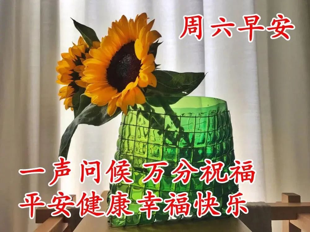 7月4日周六清晨早上好问候祝福动态表情图片7月最新早安问候祝福图片带字温馨 早上好表情动态 微信公众号文章阅读 Wemp