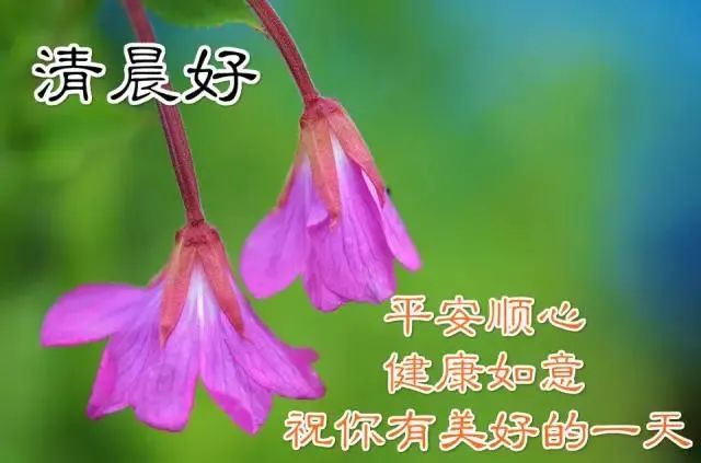 9月9日周三清晨早上好问候祝福动态表情图片9月最新早安问候祝福图片带字温馨 早上好表情动态 微信公众号文章阅读 Wemp