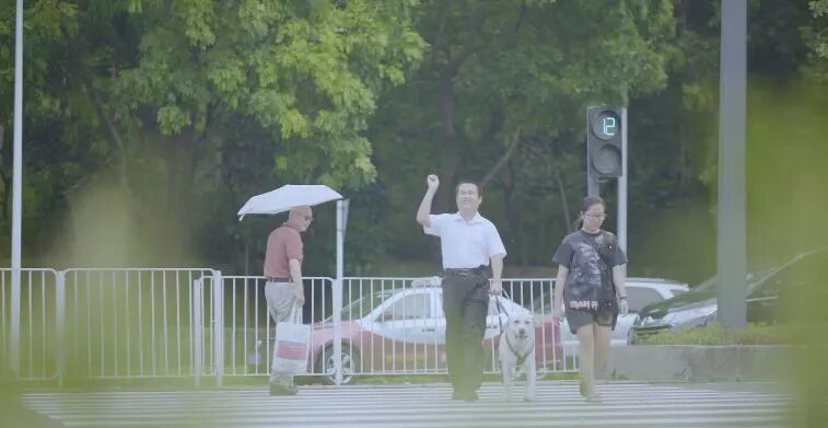 （图）传锡过马路