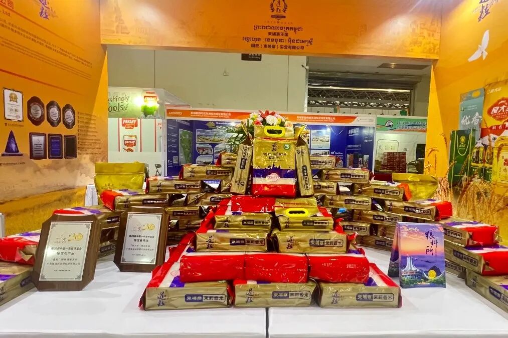 x光机怎么拍照好玩、好吃、好拍照、好洽谈……东博会逛展攻略→_https://www.jmylbn.com_新闻资讯_第73张