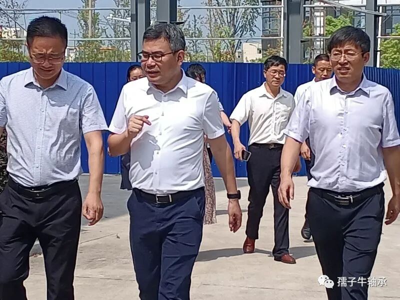 市长王国林率队到孺子牛送清凉(图1)