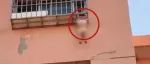 惊险丨银川4岁女童头卡护栏悬在6楼外，民警紧急施救化险为夷！