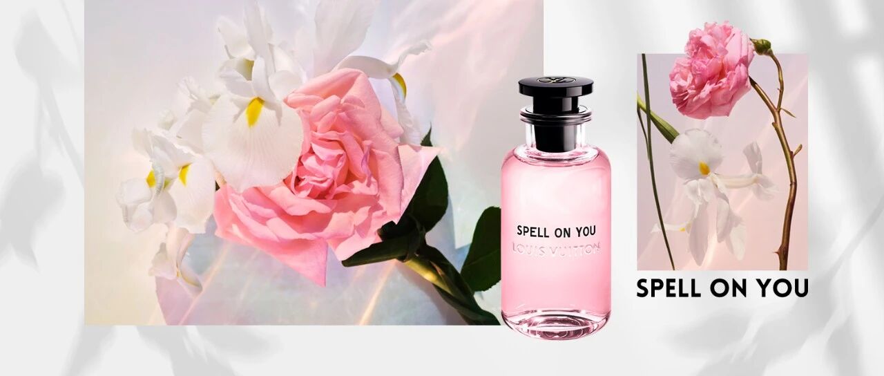 鸢尾颂 | 花香拥有个性需要几步？