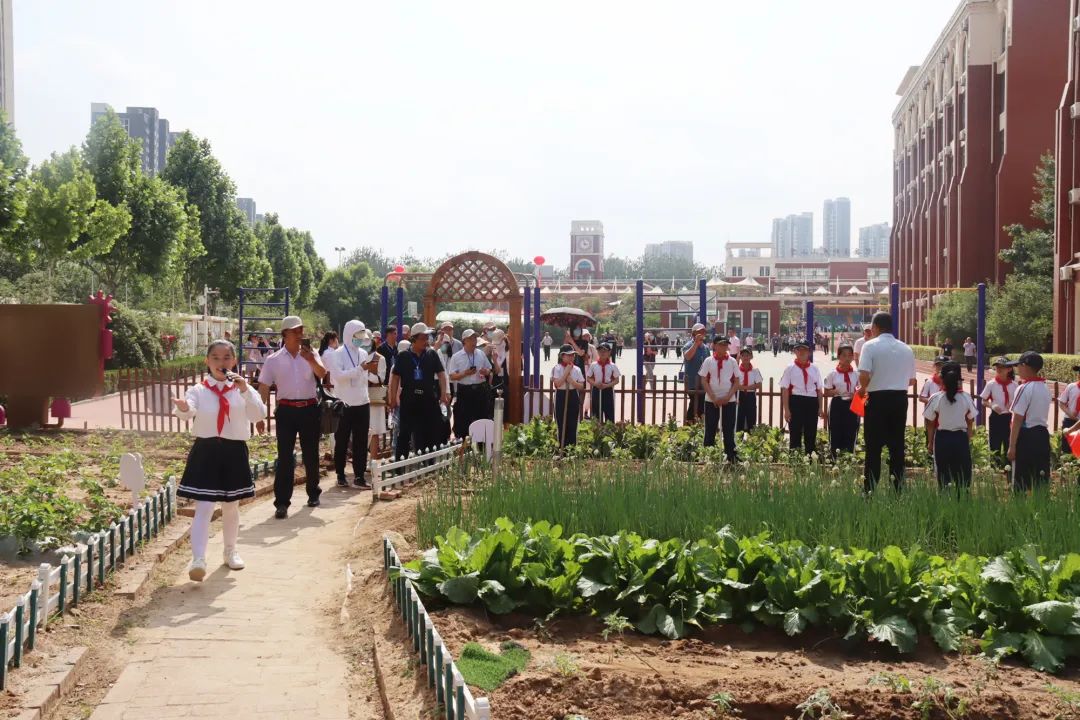 卧虎山小学图片